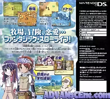 Image n° 2 - boxback : Rune Factory 2 (v01)